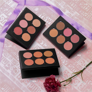 02 SUN | باليت بلاشر بودره